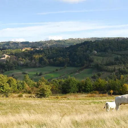 View Of Monte Amiata For 3 Guests La Piaggia - Vivo Dorcia شقة